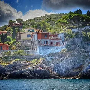 Flora Argentario Porto Santo Stefano (Grosseto)